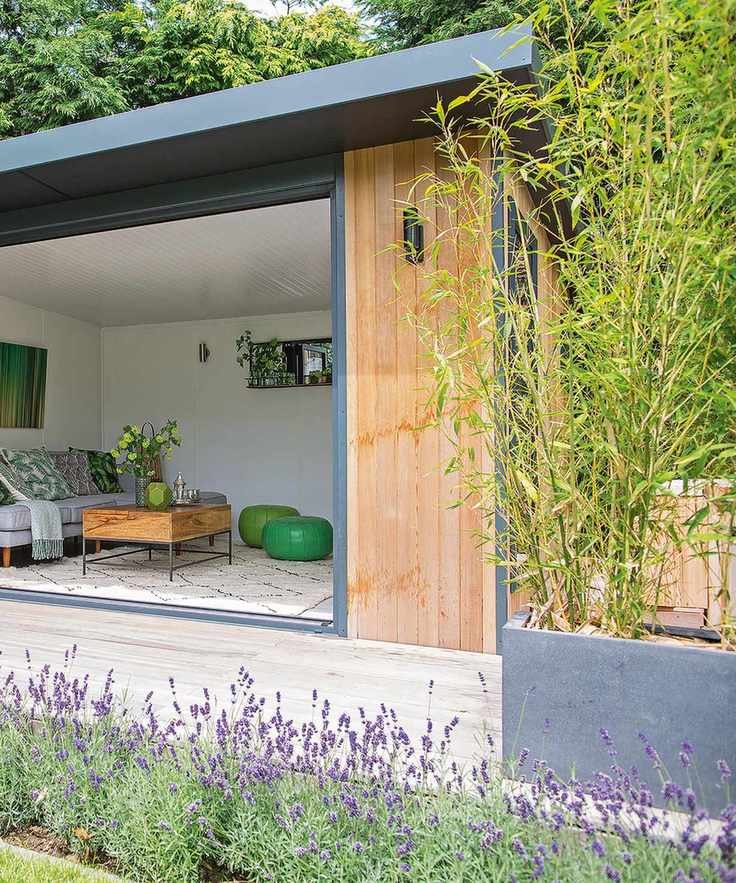 bamboo planted in a container on a patio with lavender growing in a flower bed in front