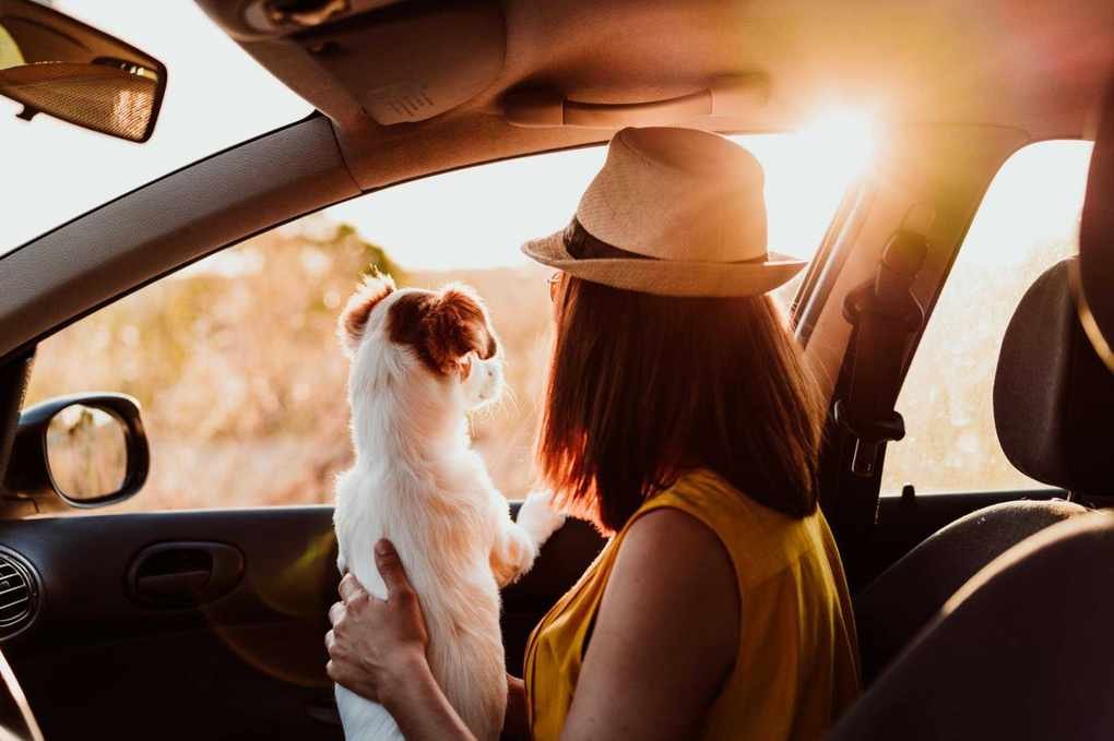Is Now the Right Time to Sell Your Car in a Hot Market?