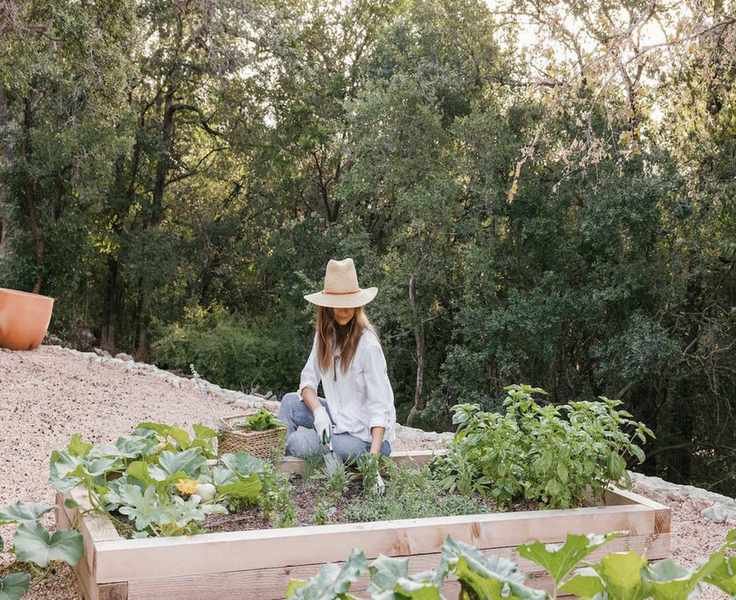 Transforming Our Backyard: Creating Raised Garden Beds for Fresh Produce