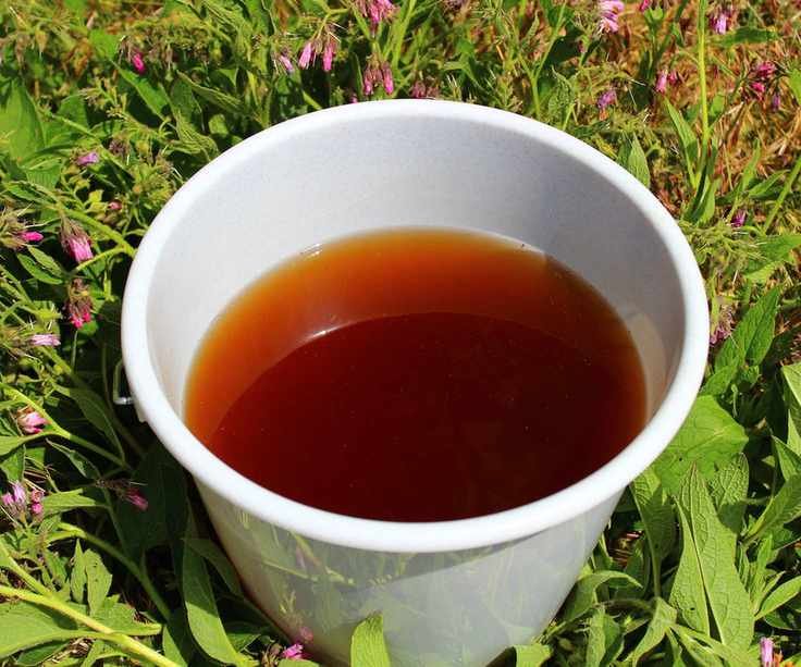 Comfrey fertilizer ready for use