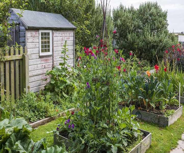 Choosing Soil for Raised Garden Beds: Expert Tips for Thriving Plants