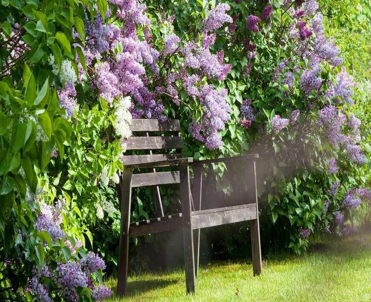 October Planting Guide: Best Flowers and Vegetables for Your Garden