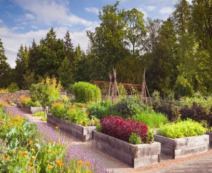 Determining the Ideal Depth for Your Raised Garden Bed
