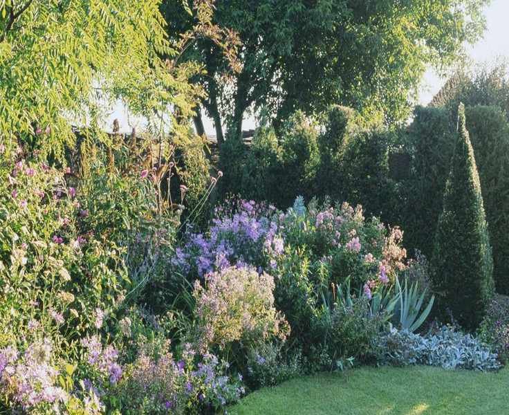 Discovering Natural Edging Plants for a Polished Garden Border