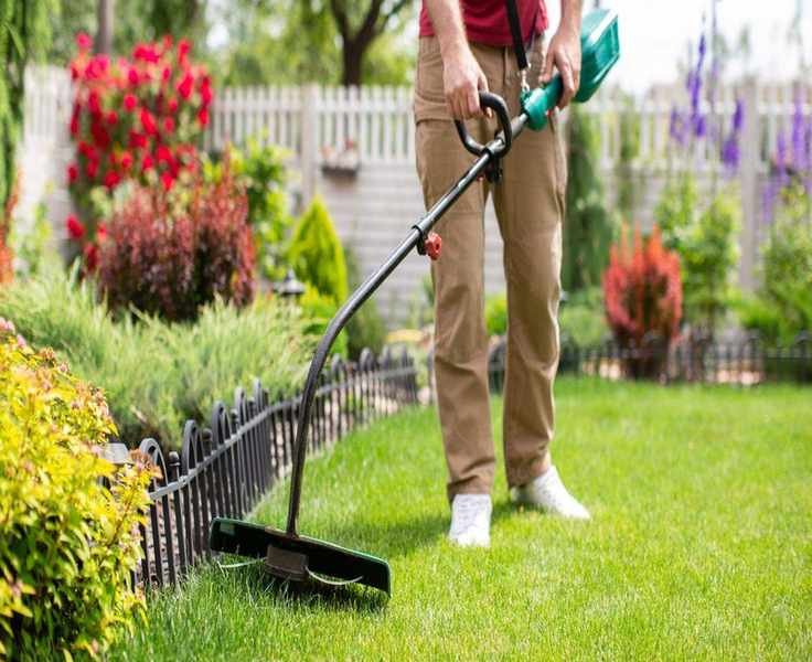 Essential Tips for Choosing the Right Lawn Trimmer for Your Yard