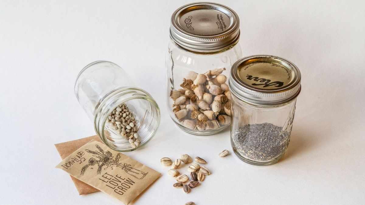 Creative DIY Seed Storage Solutions: 5 Fun Ways to Repurpose Items