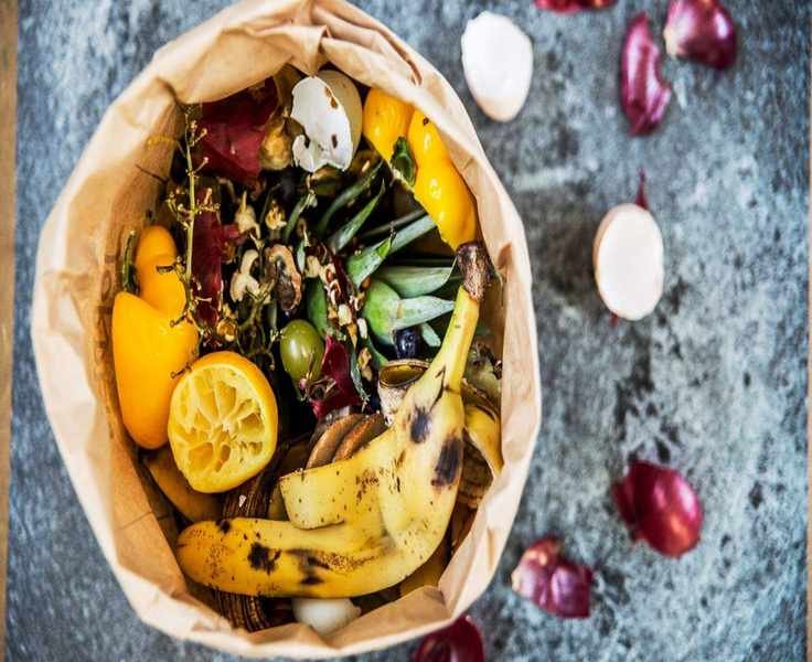 Nourishing Your Plants with Vegetable Peels: An Organic Approach