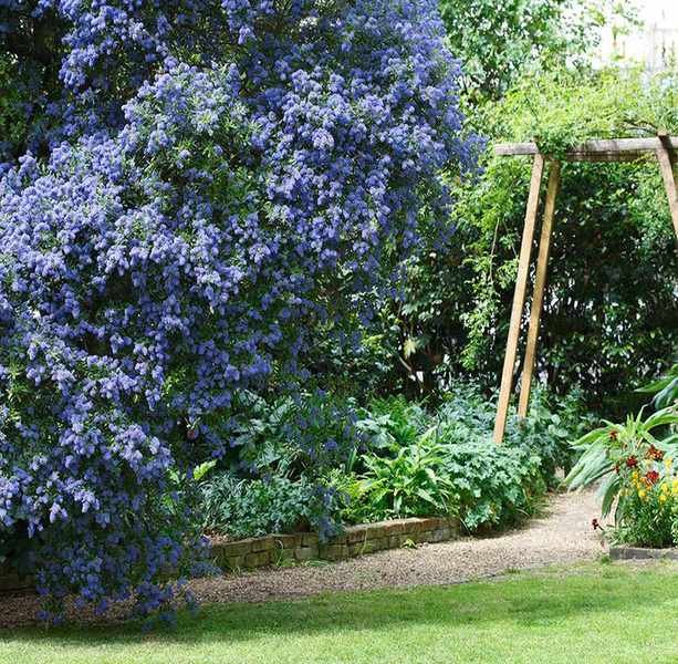 Instagram garden ideas