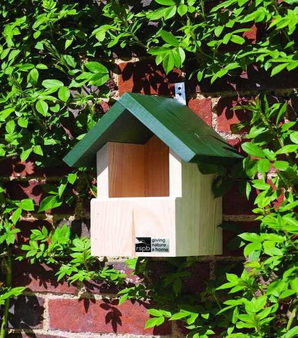 open nest box on a brick wall surrounded by climbing plants rspb