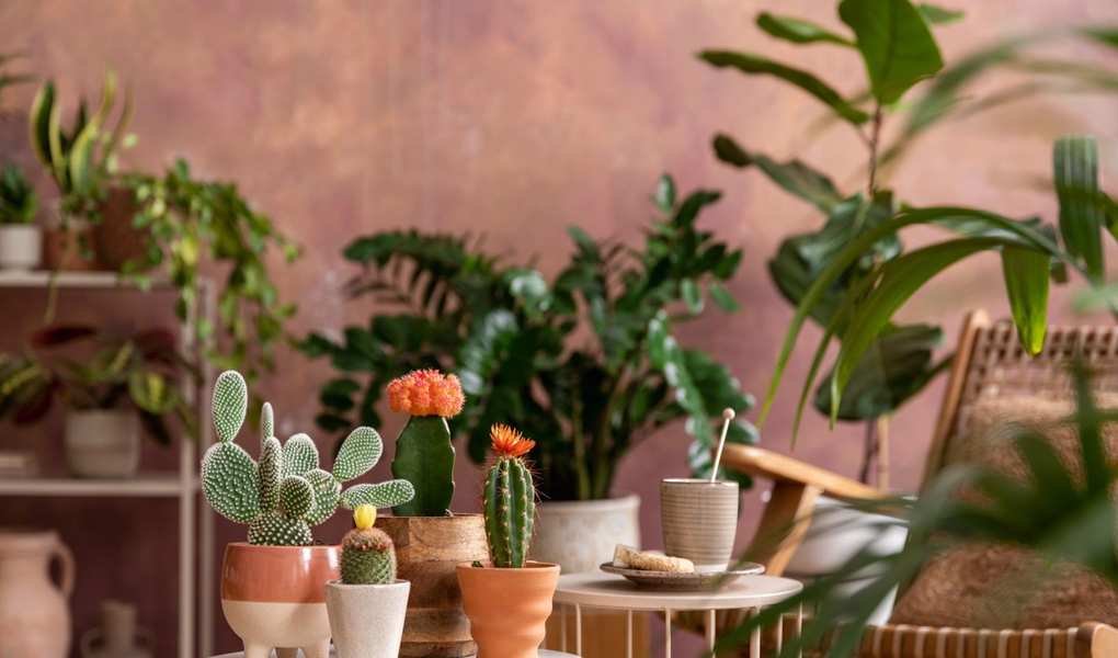 Transform Your Space: 9 Creative Indoor Garden Ideas