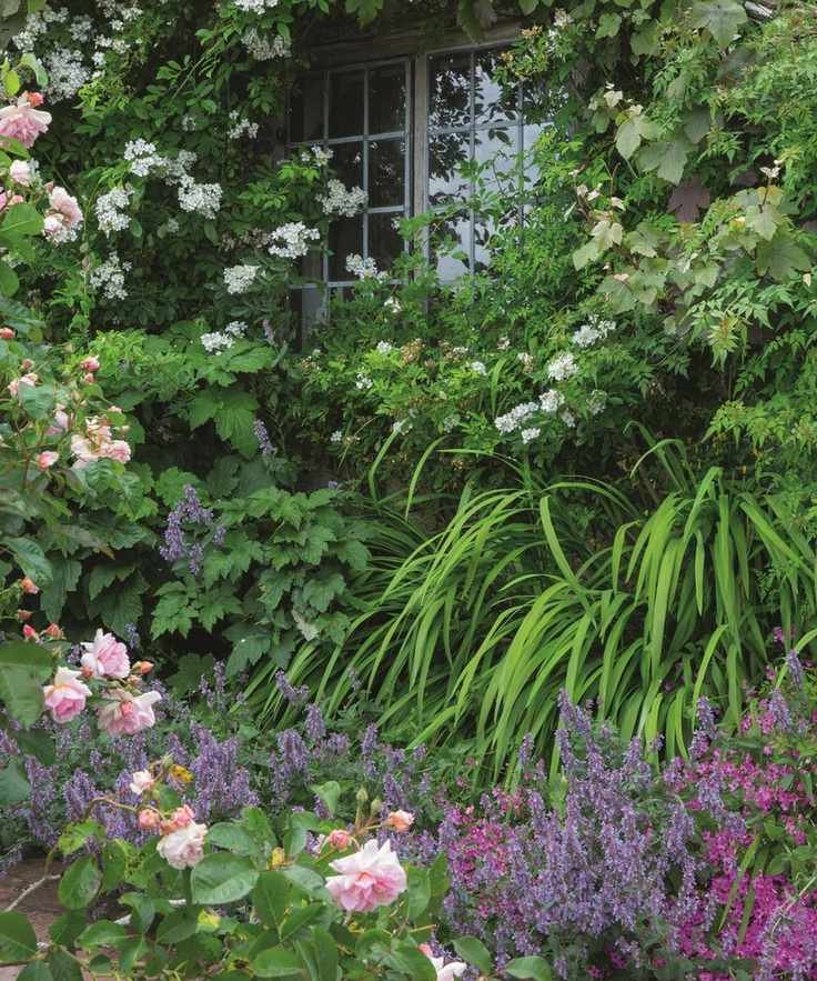 Close up of blue flowers and pink roses in the flower borders at Alfriston Clergy House, East Sussex. A rare 14th-century Wealden hall-house set in a traditional garden.