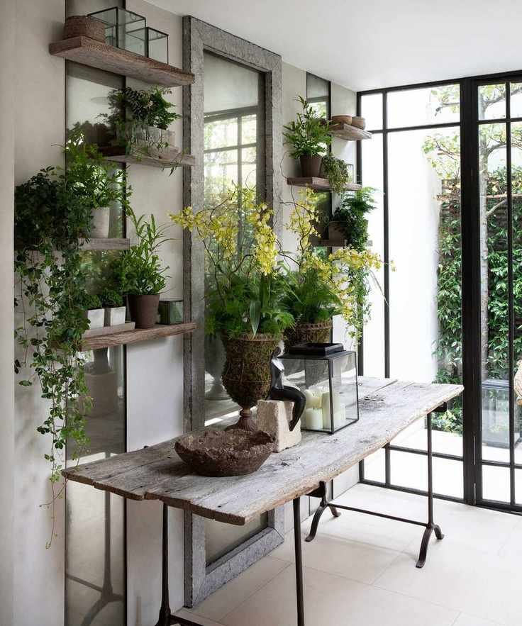 entry way filled with plants