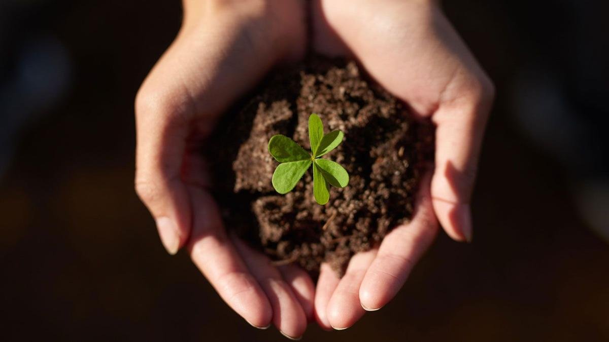 Enhancing Soil Nutrients for a Thriving Backyard and a Greener Planet