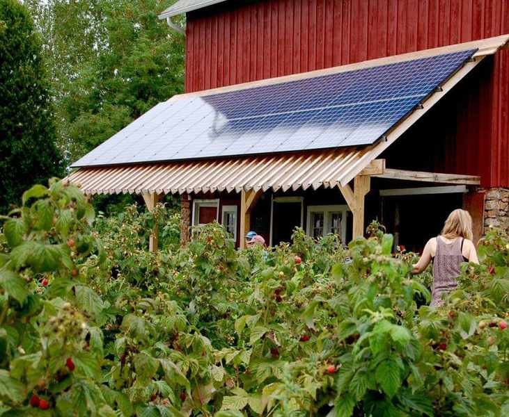 6 Smart Ways Your Money Can Combat Climate Change