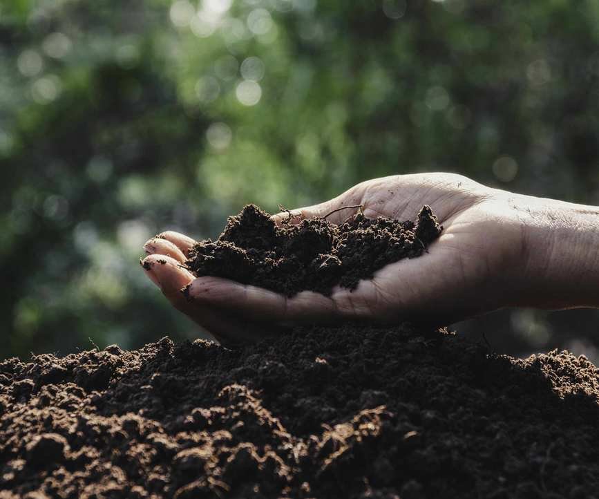 A hand holding a pile of dark compost