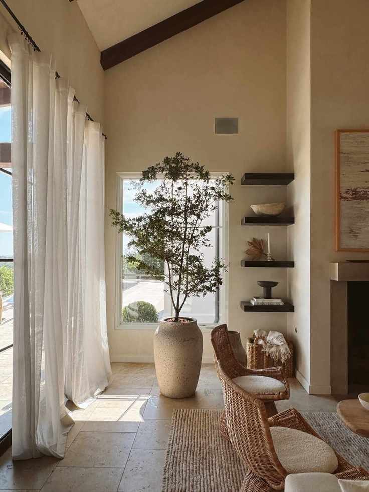 Say Goodbye to Fiddle Leaf Figs: Meet the Designers' New Favorite Houseplant