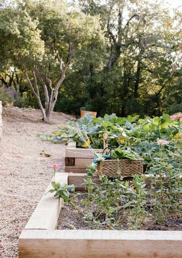 Creating My Backyard Kitchen Garden: A Fresh Start