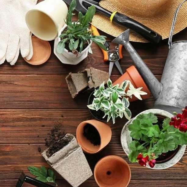 Save Big with Nature Hills Nursery Promo Codes for June 2026