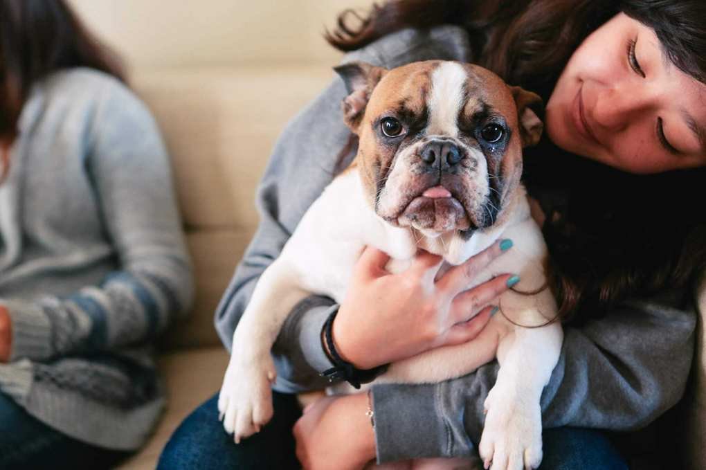 Is Pet Insurance a Smart Investment for Your Furry Friends?