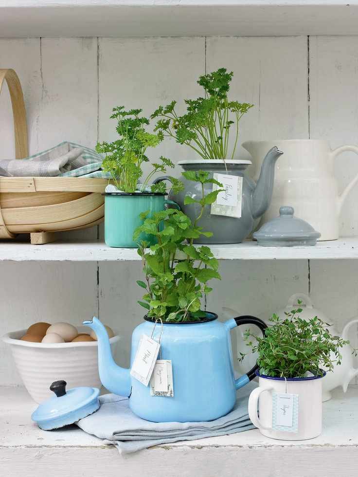 herbs in enamel pots