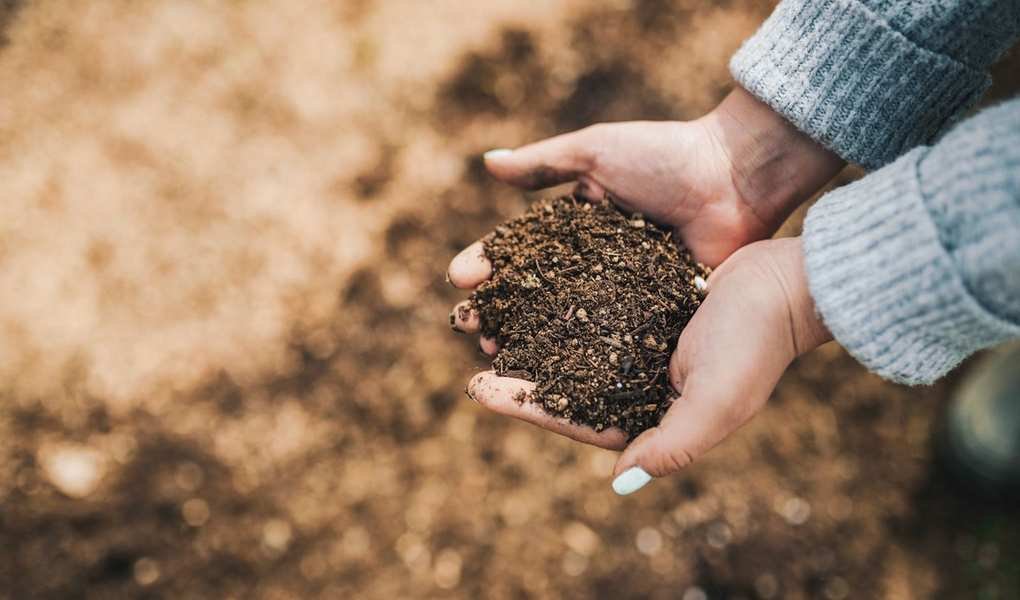 Avoid These 10 Items in Your Compost Bin for Healthier Soil
