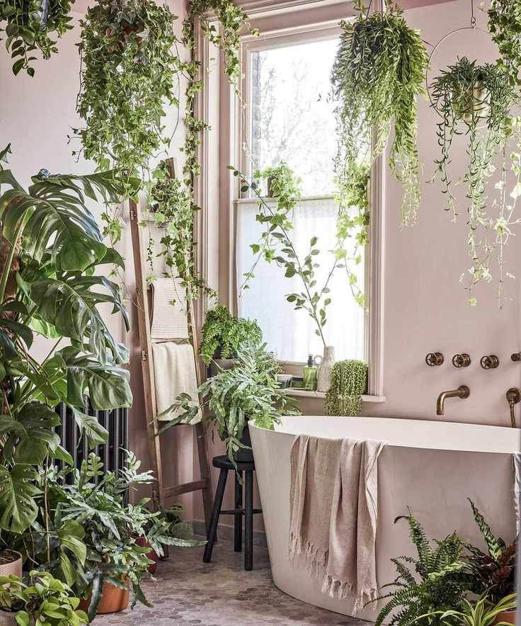 hanging plants in bathroom