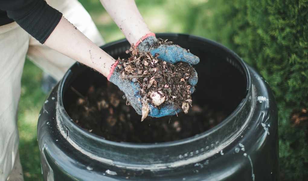 Speed Up Composting: 7 Expert Tips for Faster Decomposition