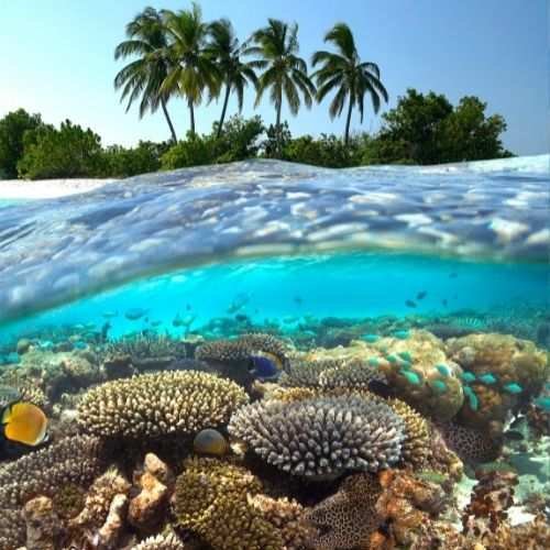 The Importance of Choosing Reef Safe Products for Your Skin