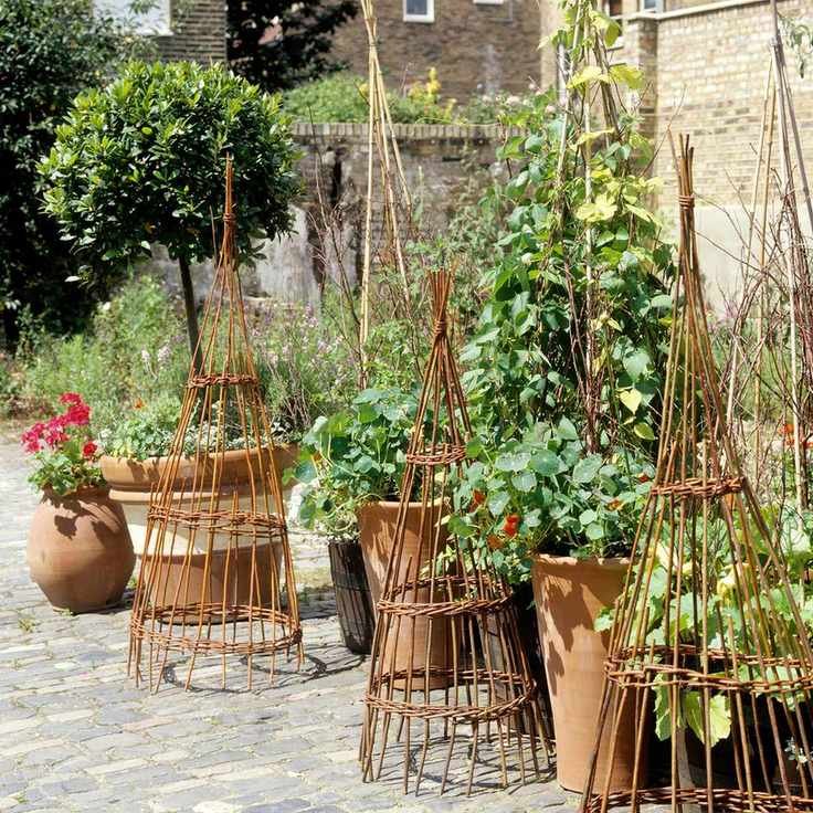 Pot plants and woven obelisks in patio garden