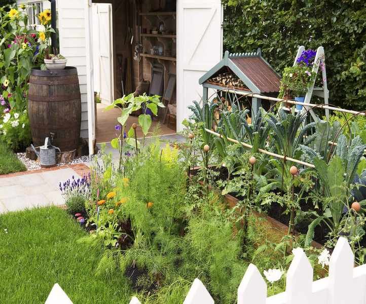 Build a mini vegetable garden trellis to support lower growing crops