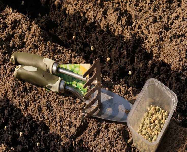 Sowing Seeds Outdoors: A Simple 7-Step Guide