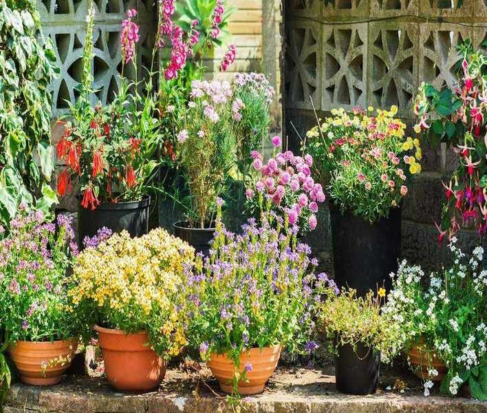 Revitalize Your Spring Containers for Summer: 5 Refreshing Tips