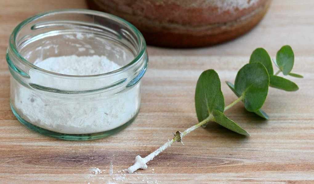 Boost Your Plant Cutting Success with Rooting Hormone: Expert Insights