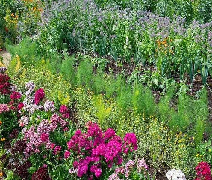 Discover the Ancient Olla Technique for Efficient Plant Watering