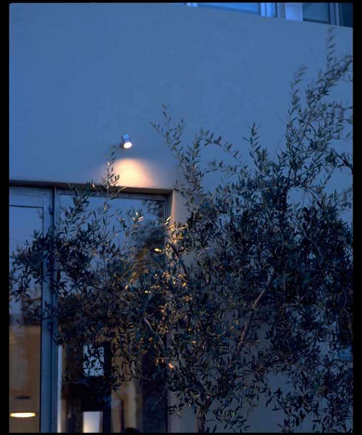 A garden spotlight above a glass door next to a tree