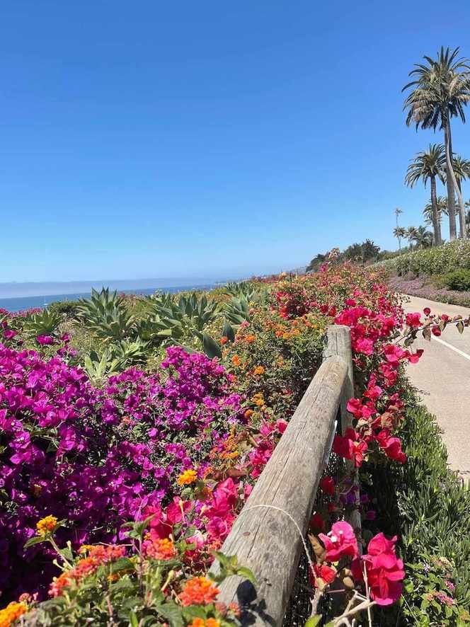 Explore Santa Barbara: A Blend of Wellness and Chic Living