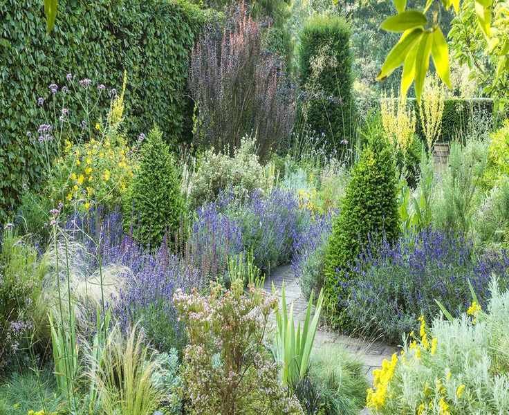 Planning a Dry Garden: Tips for Sustainable Landscaping