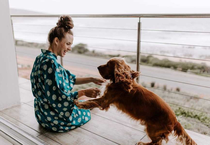 Understanding Pet Insurance: Coverage, Costs, and Choices