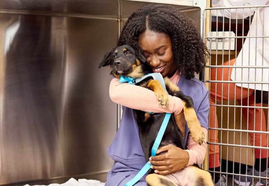 Essential Preventive Care for Dogs at Every Life Stage