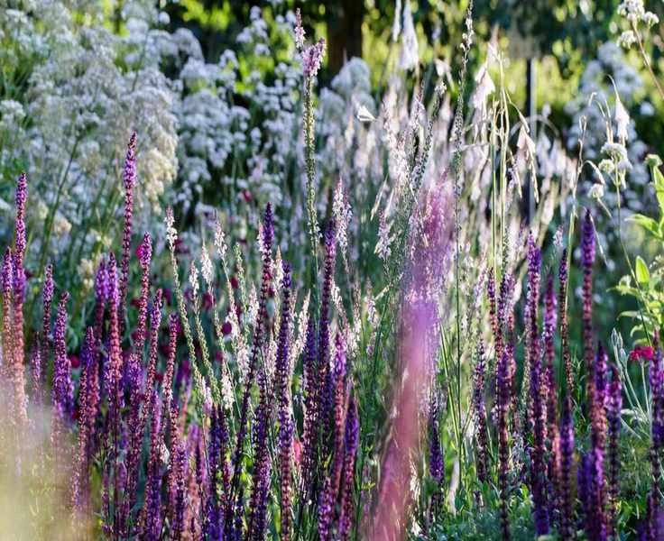 Protect Your Seedlings from Heat Stress with This Creative Hack