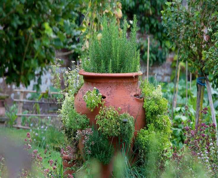 Creative Herb Planter Ideas for Container Gardening