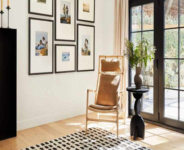 Air Purifiers and Plants: Which Is Best for Indoor Air Quality?