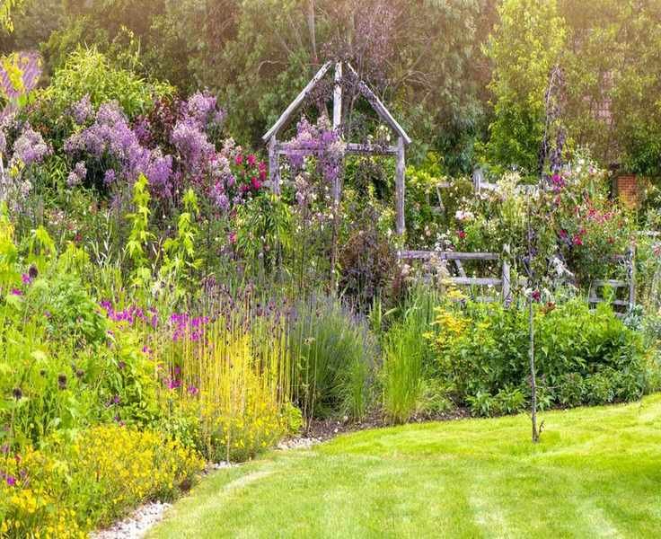 5 Fragrant Plants for Your Garden That Attract Wildlife