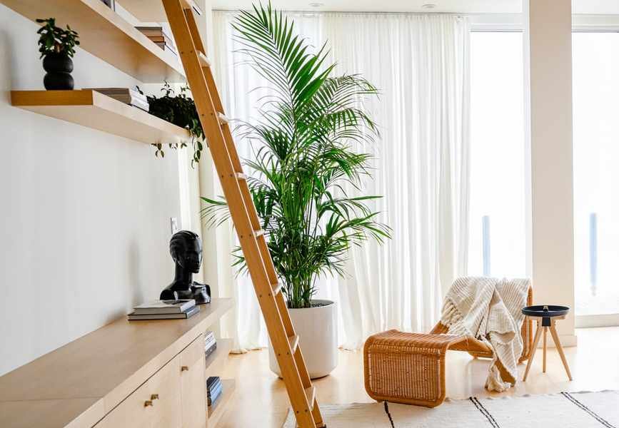 Reviving 90s Indoor Plants: 7 Trends to Embrace This Year
