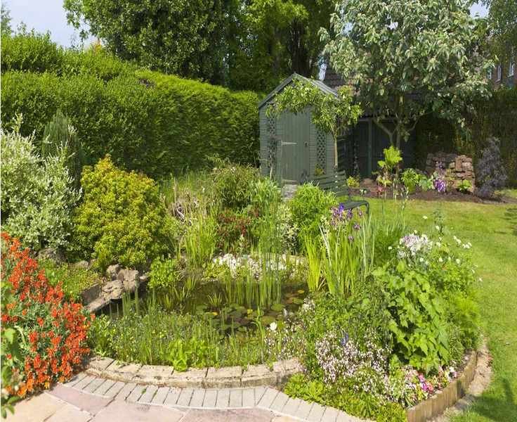 Oxygenating Pond Plants: 5 Varieties for Crystal Clear Water