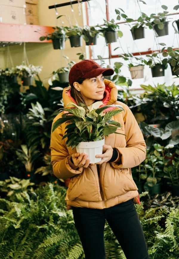 plant market shopping_2023 indoor plant trends