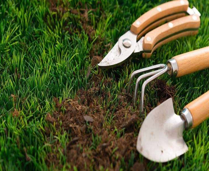 This Gardening Hand Tool is a Game-Changer for Under $10 at Walmart