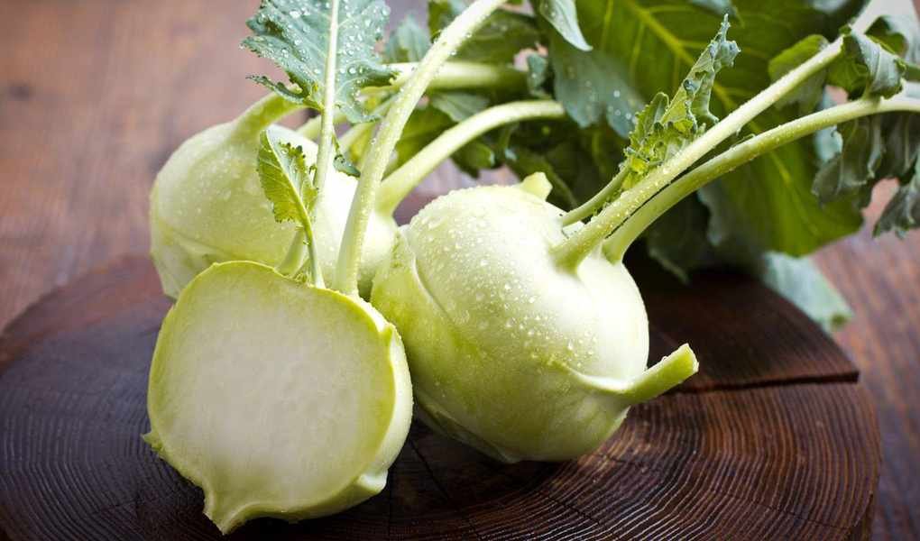 Harvesting Kohlrabi: Timing for Optimal Flavor and Texture