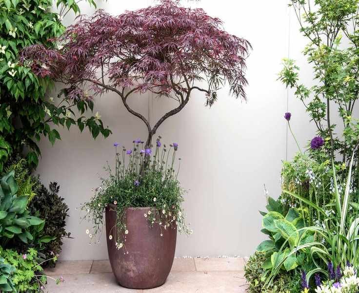 Create a Tranquil Japanese Zen Garden Planter for Your Patio