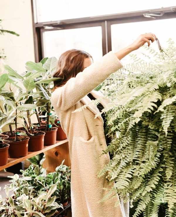 camille plant market shopping_2023 indoor plant trends